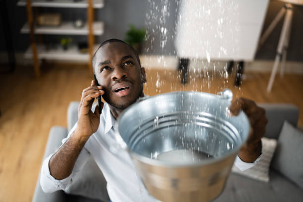 Best Water damage contractors near me  in Statesville, NC