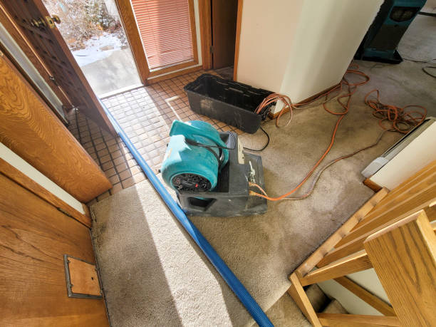 Best Carpet water damage restoration  in Statesville, NC