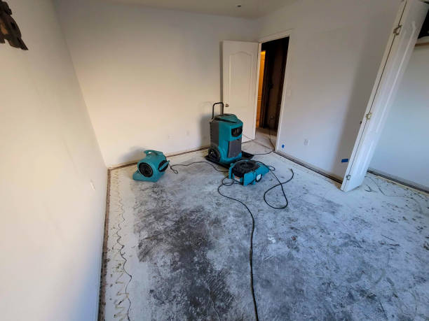 Best Local water damage restoration  in Statesville, NC