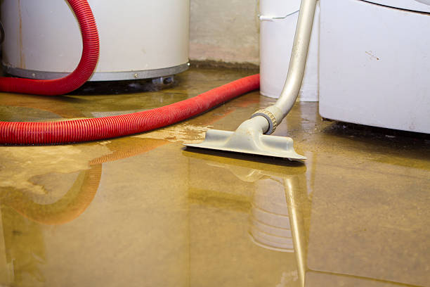 Best Professional water damage repair  in Statesville, NC