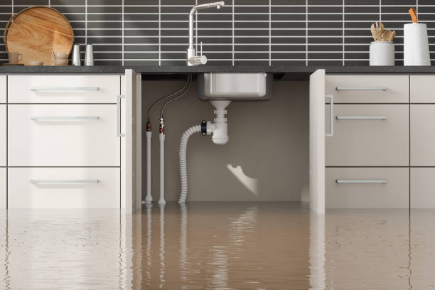 Best Mold removal after water damage  in Statesville, NC